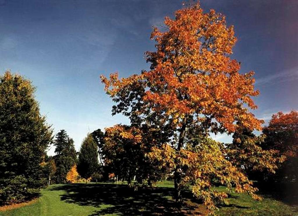 West Lodge Park Barnet Bagian luar foto