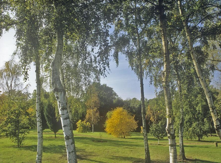 West Lodge Park Barnet Bagian luar foto